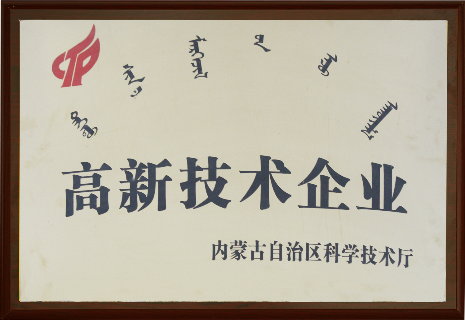 高新技術企業(yè)